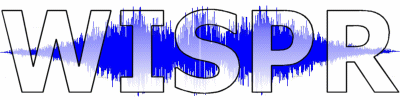 WISPR - Welsh and Irish Speech Processing Resources